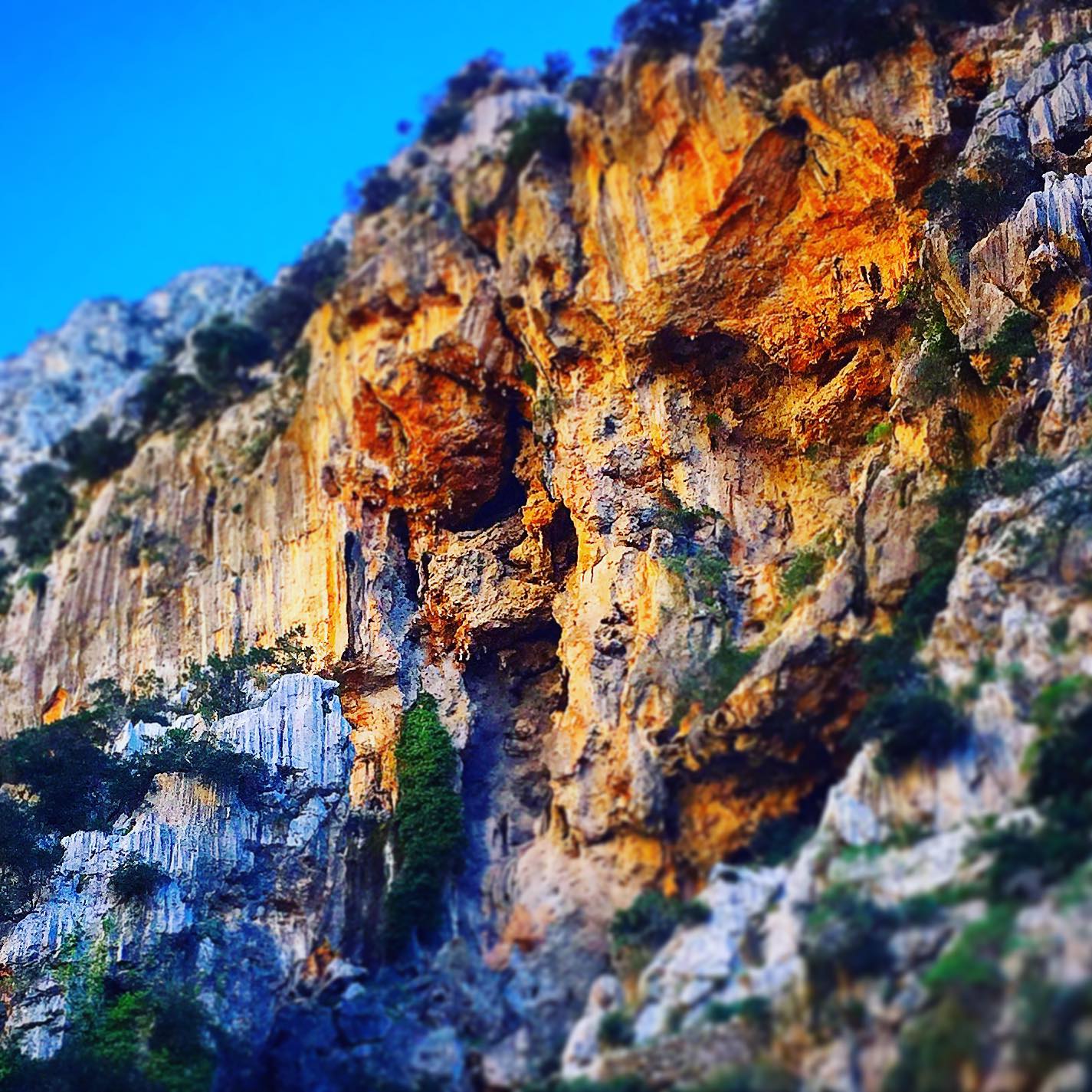 Winter mountain scene